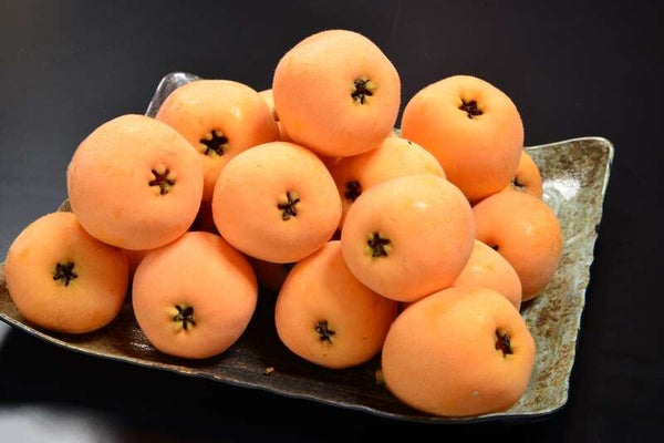 【茨城県内発】 初夏の房総半島グルメ旅!個人では予約不可の『きよっぱち』海鮮浜焼き食べ放題と旬の房総びわ皿盛り食べ放題!1